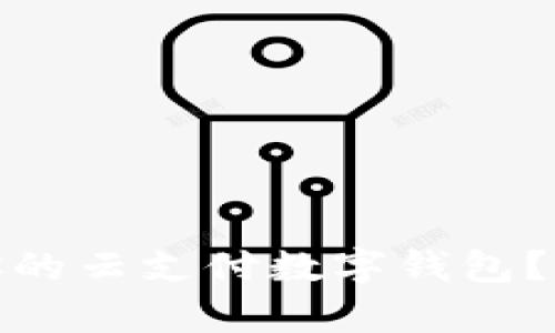 如何选择适合你的云支付数字钱包？全面解析与评测