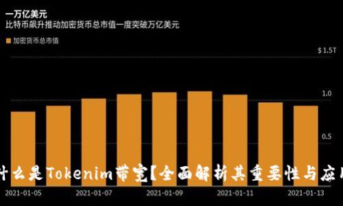什么是Tokenim带宽？全面解析其重要性与应用