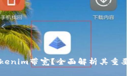 什么是Tokenim带宽？全面解析其重要性与应用